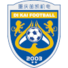 重庆笛凯logo